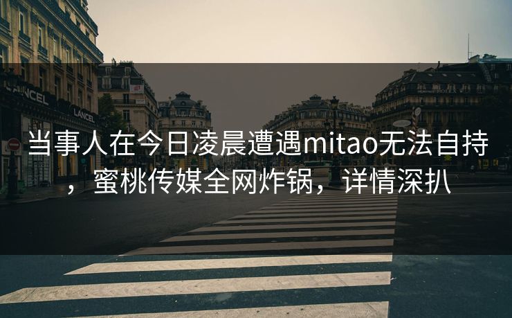 当事人在今日凌晨遭遇mitao无法自持，蜜桃传媒全网炸锅，详情深扒