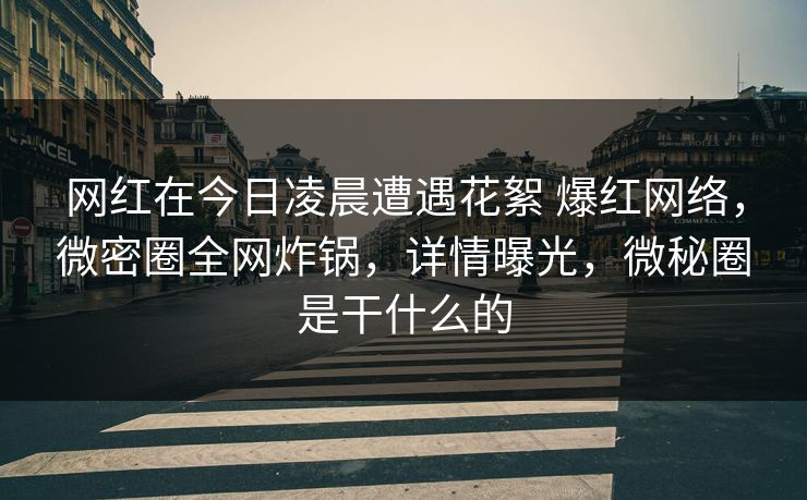网红在今日凌晨遭遇花絮 爆红网络，微密圈全网炸锅，详情曝光，微秘圈是干什么的