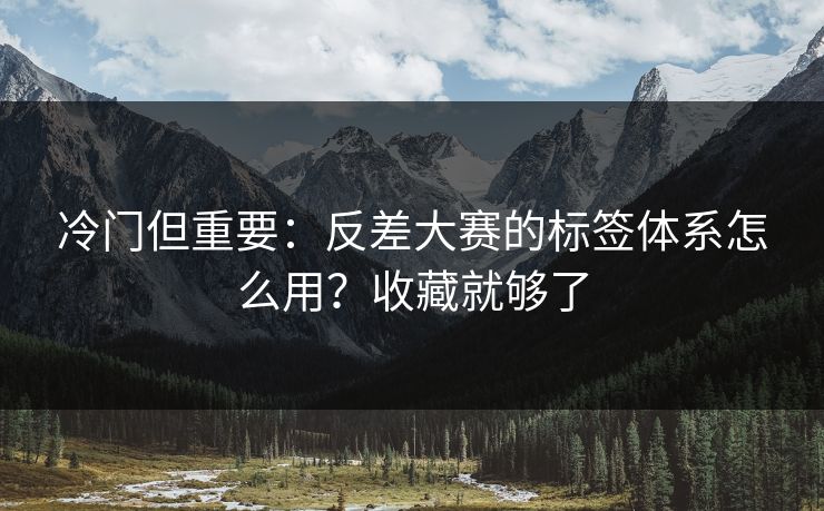 冷门但重要：反差大赛的标签体系怎么用？收藏就够了