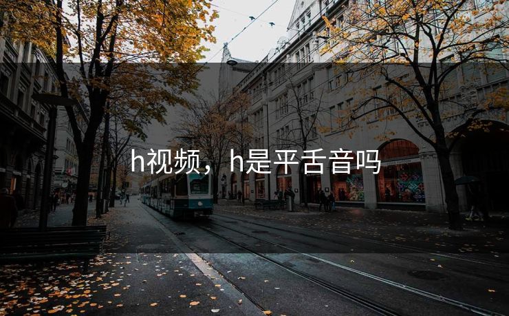 h视频，h是平舌音吗
